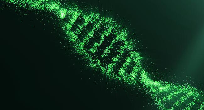 Researchers from Aalborg University have received a DKK 15 million grant to boost the mapping of bacteria. Researchers from Aalborg University have received a DKK 15 million grant to boost the mapping of bacteria.